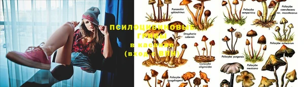 МДПВ Вязьма