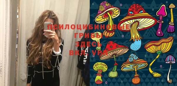 не бодяженный Вяземский