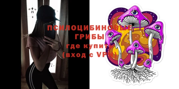 молекула духа Ростов