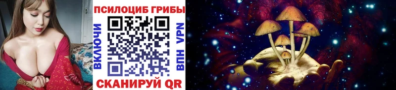 где найти наркотики  Вуктыл  блэк спрут зеркало  Псилоцибиновые грибы Magic Shrooms 